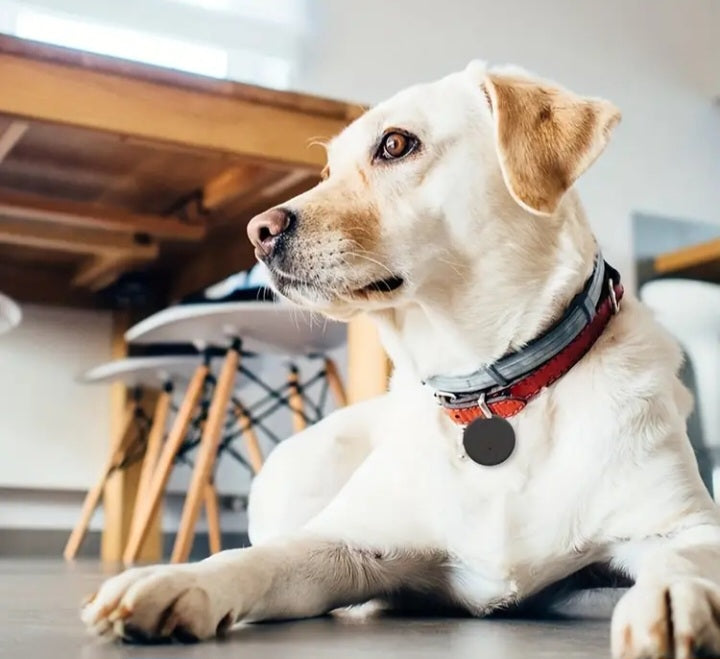 🔵 Localizador Anti-Pérdida Inteligentes – Bluetooth, Ultra Livianos y Compatibles con App iSearching